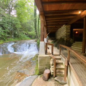 IMG_9768 (1) IMG_9768 (1)